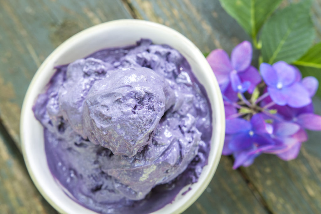 Vegan Blueberry Ice Cream - Laura's Vegan Table